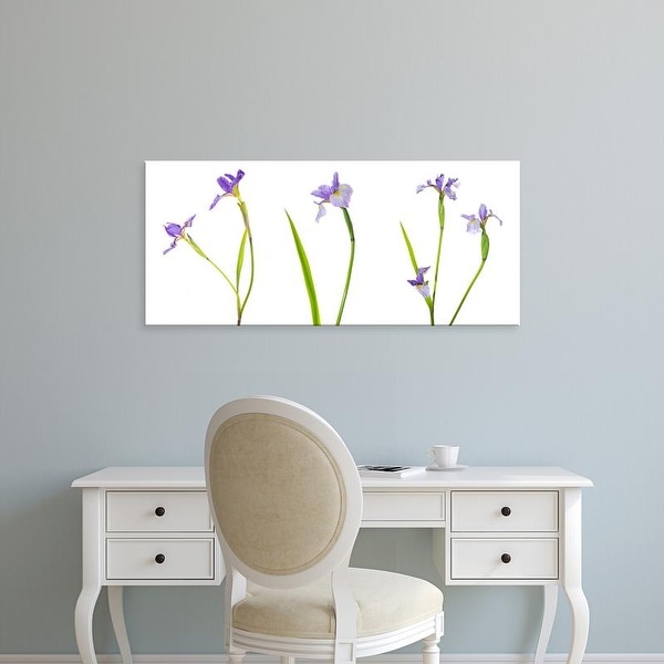 Easy Art Prints Panoramic Images's 'Close