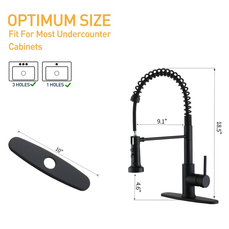 Pull-Out Kitchen Faucet with Flexible Spray Head
