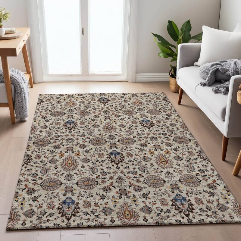 Machine Washable Indoor/Outdoor Traditional Persian Chantille Rug