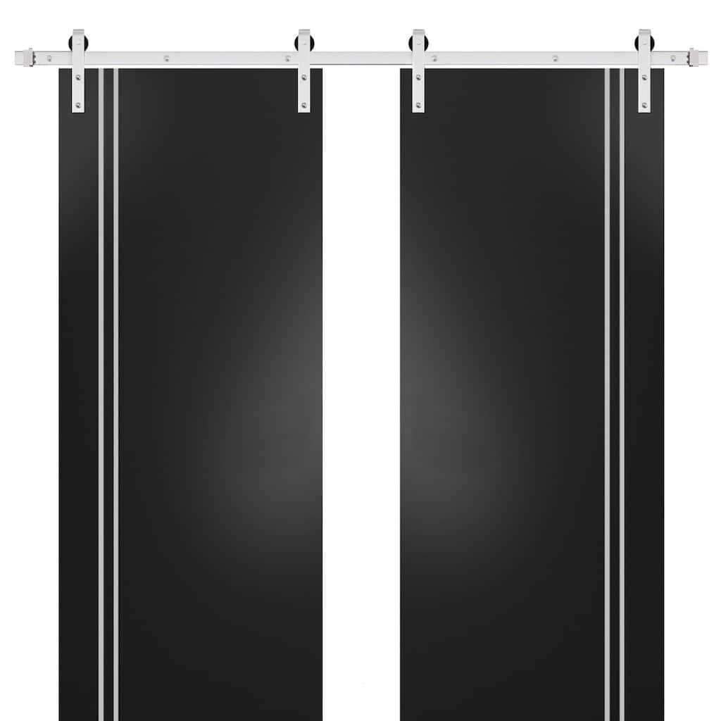 Sturdy Double Barn Door 36 x 80 with Planum 0310 Matte Black with 13FT