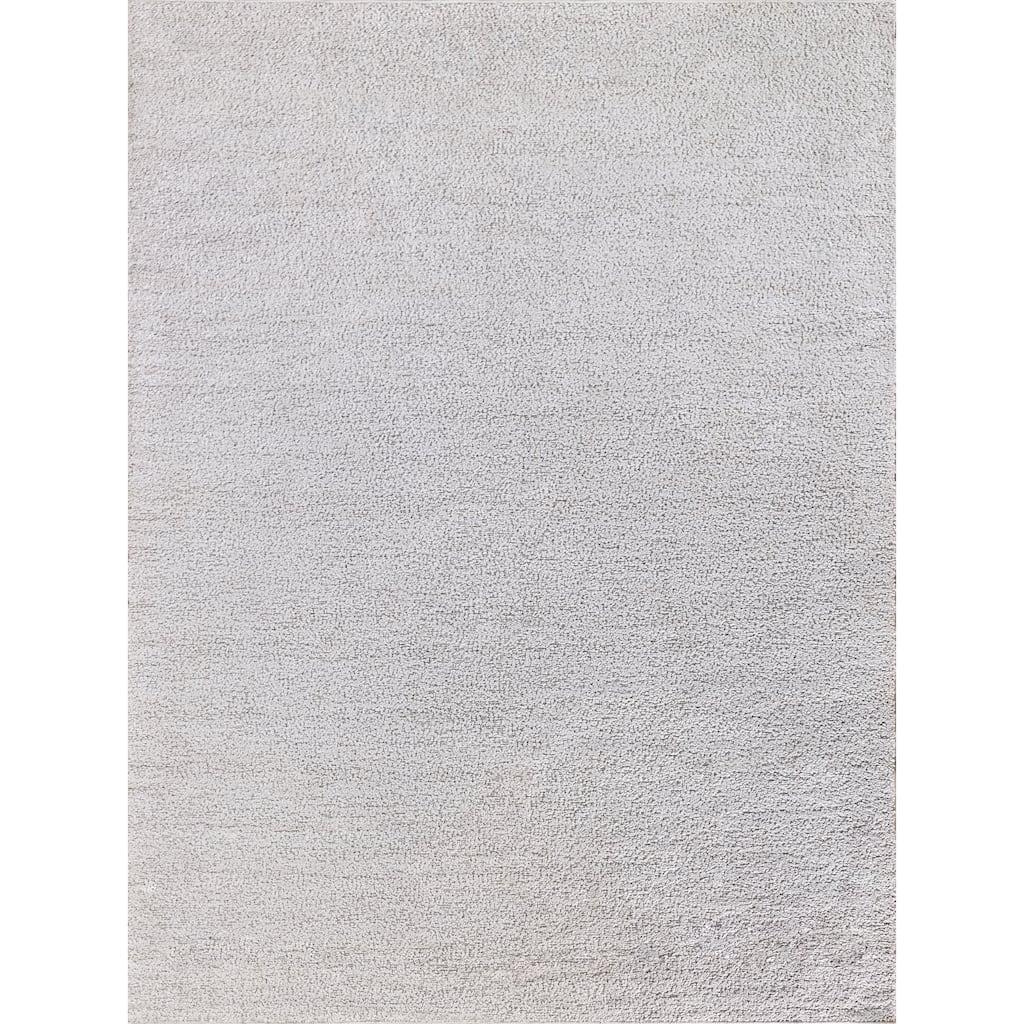 EXQUISITE RUGS Morello Indoor/Outdoor Reversible Hand-loomed PET yarn Ivory/Ivory Area Rug.