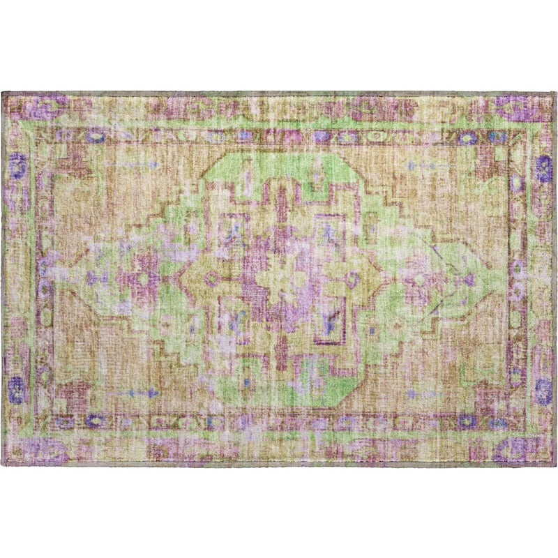 Premium Washable Super Soft Vintage Traditional Mayfield Rug
