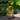 Flower Blossoms Garden Water Fountain w/Light Matel Waterfall Fountain
