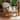 Cambridge Casual Auburn Upholstered Teak Outdoor Rocking Chair