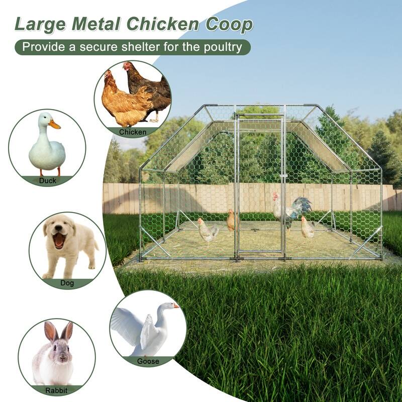 Large Walk-In Metal Chicken Coop – Flat-Shaped Poultry Cage Run with Waterproof Cover‌ - Silver