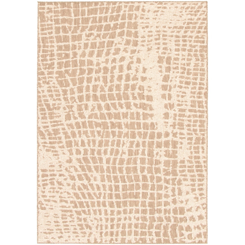 ECARPETGALLERY Sisal Safari Indoor/ Outdoor Rug