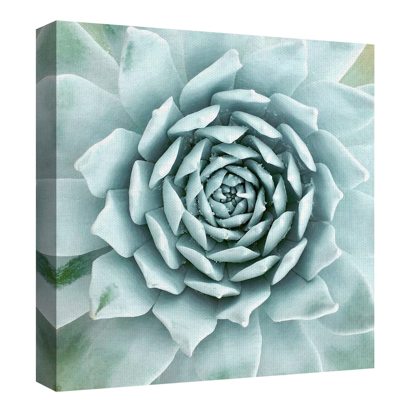 Desert Splendor by Belle Maison Canvas Art Print