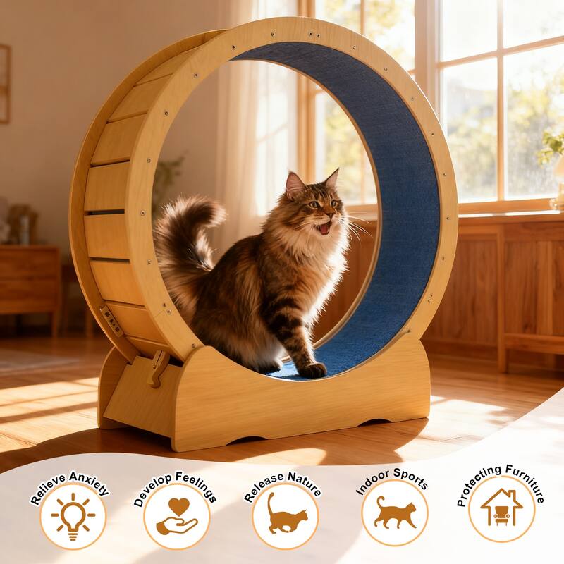 Anmytek Indoor Cat Exercise Wheel Solid Wood Pet Fitness Running Wheel for Kittens Adult Cats