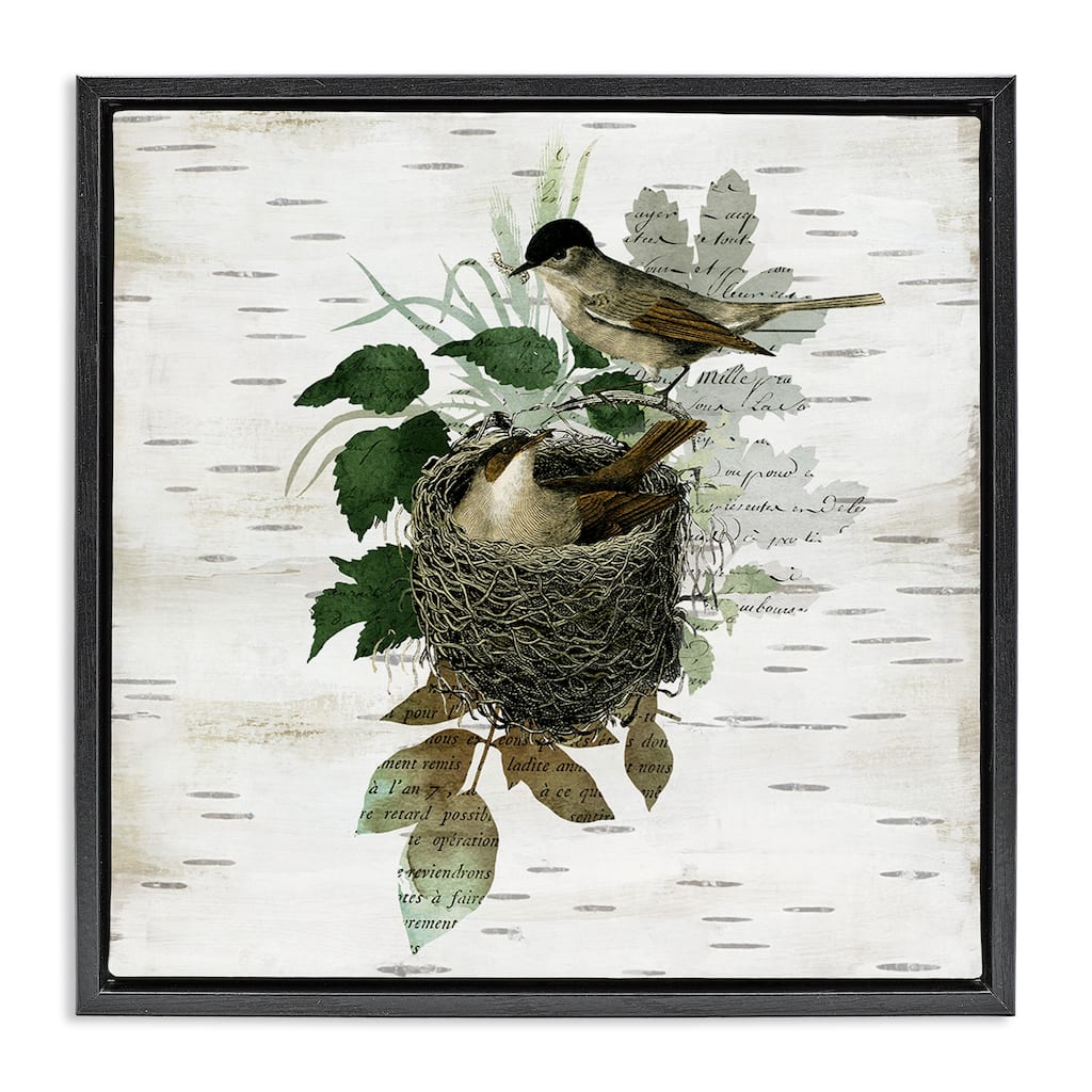 Stupell Birds in Vintage Nest Framed Floater Canvas Wall Art Design By Susan Arnot
