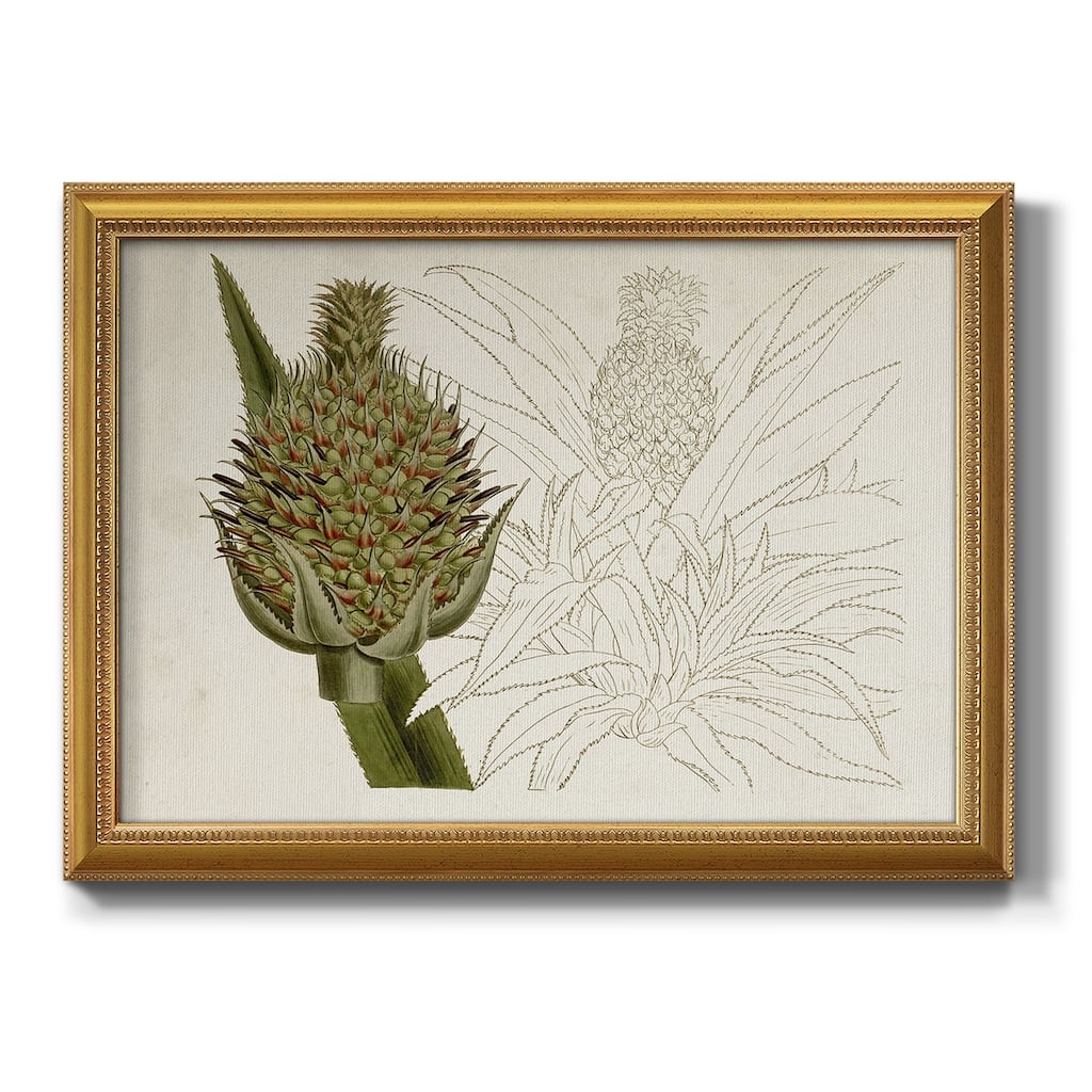 Tropical Foliage & Fruit VI Premium Framed Canvas- Ready to Hang