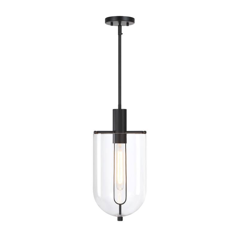 Skylar 60 Watt 1-Light Matte Black Down Pendant Light with Clear Glass Shade - 19.75
