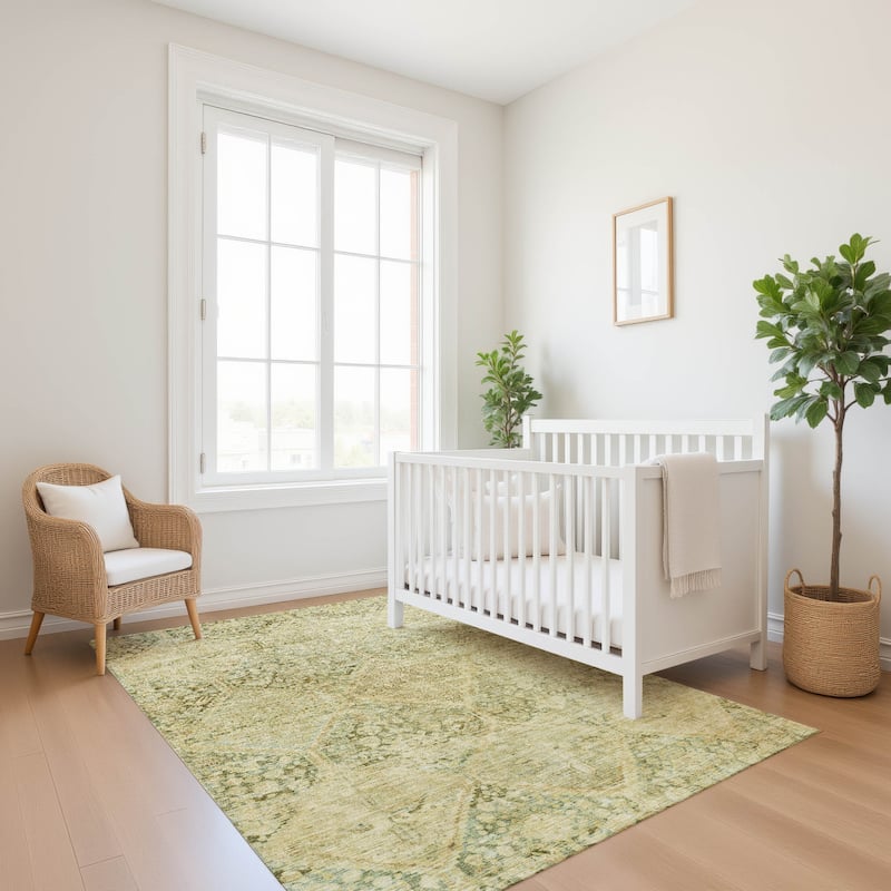Premium Washable Super Soft Vintage Traditional Mayfield Rug