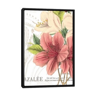 iCanvas "Azalee Jardin I" by Wild Apple Portfolio Framed Canvas Print