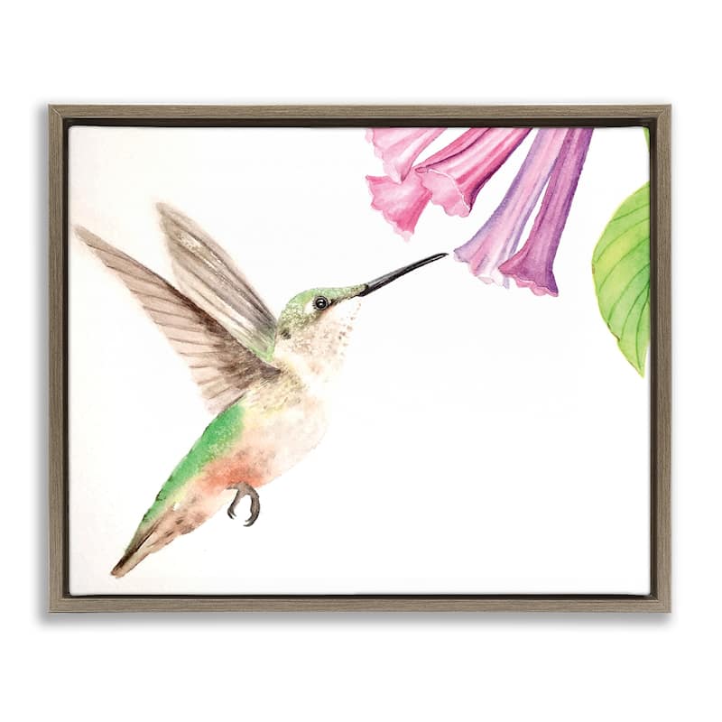 Stupell Hummingbird & Bluebell Flower Framed Floater Canvas Wall Art Design By Stephanie Fielden - 21 x 17 - Brown