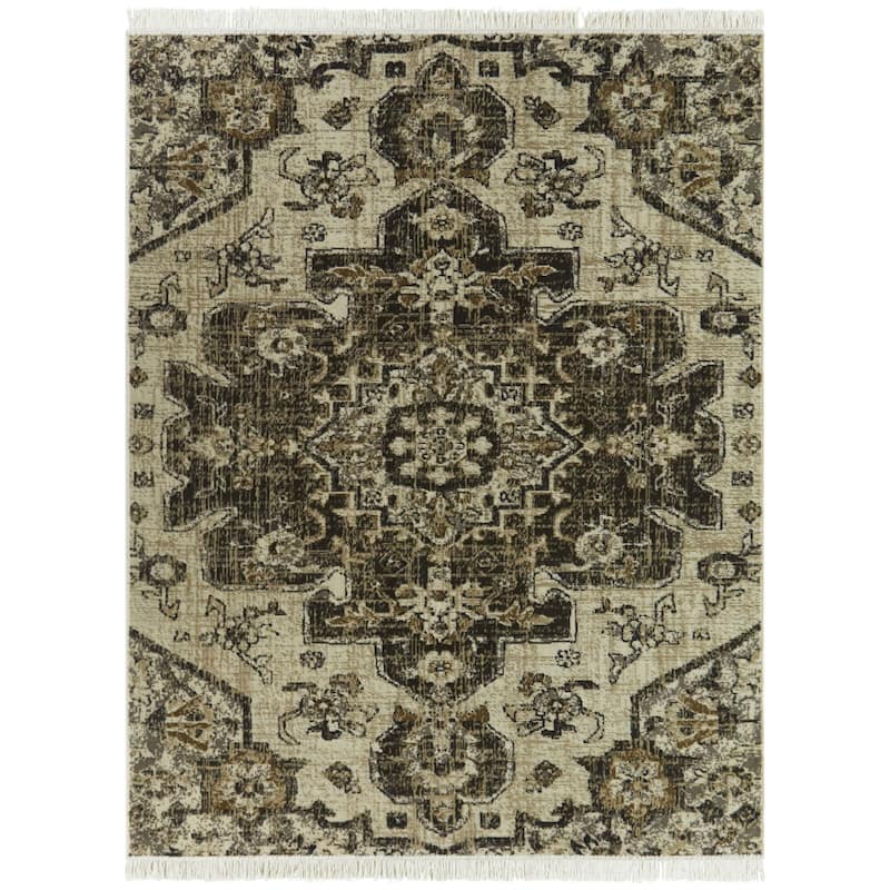 Carius Traditional Medallion Recycled Area Rug