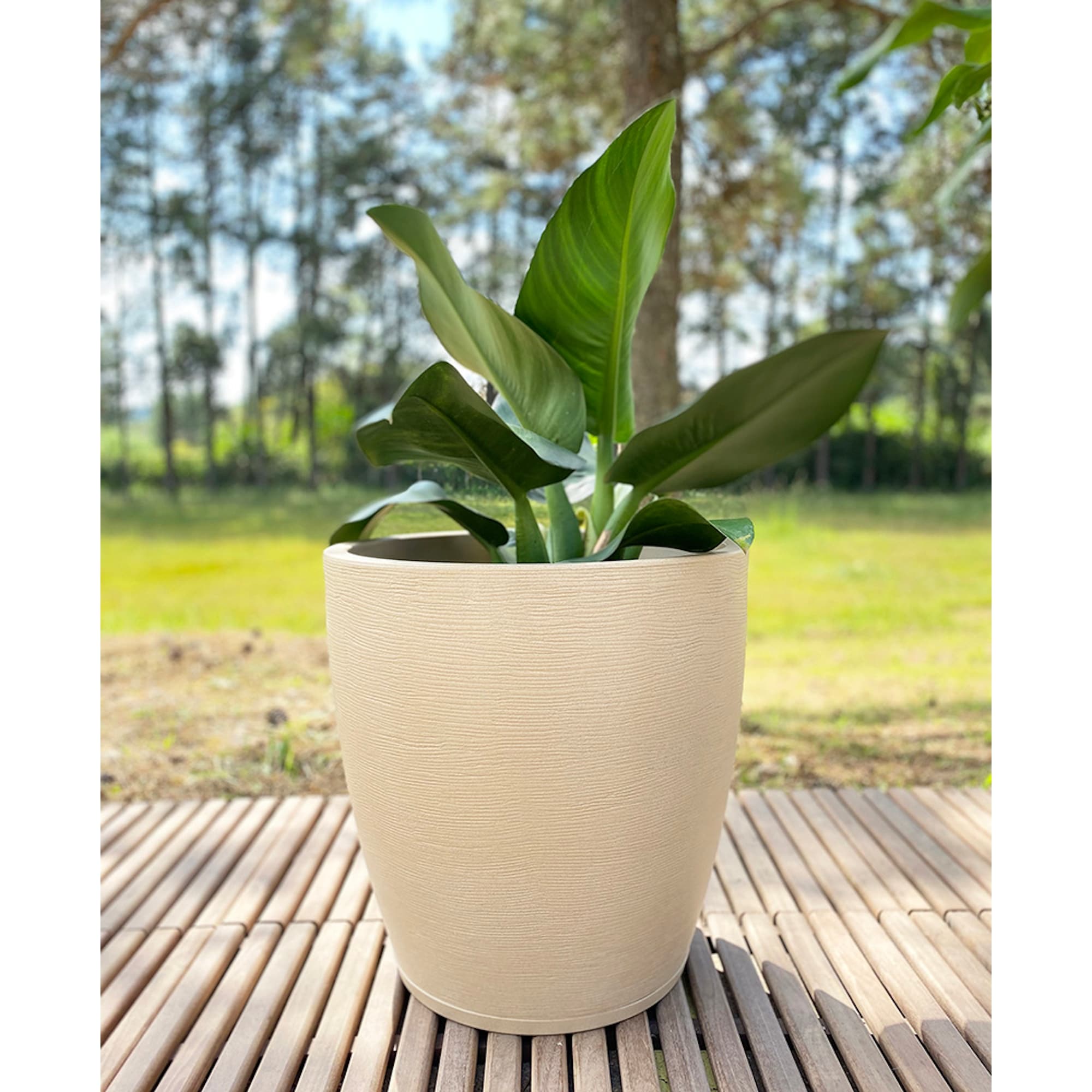 Plastic Planter Pots Bed Bath & Beyond