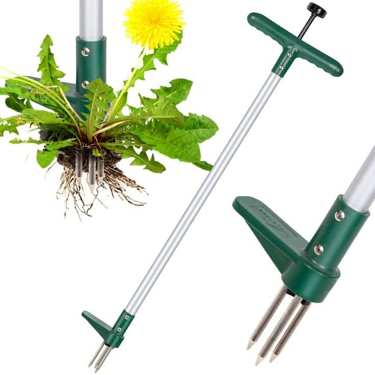 WaLensee Weed Puller, Stand Up Weeder Hand Tool, Long Handle Garden Weeding Tool with 3 Claws, Hand Weed Puller - Grey