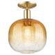 Option Champagne Bronze / Amber Shade