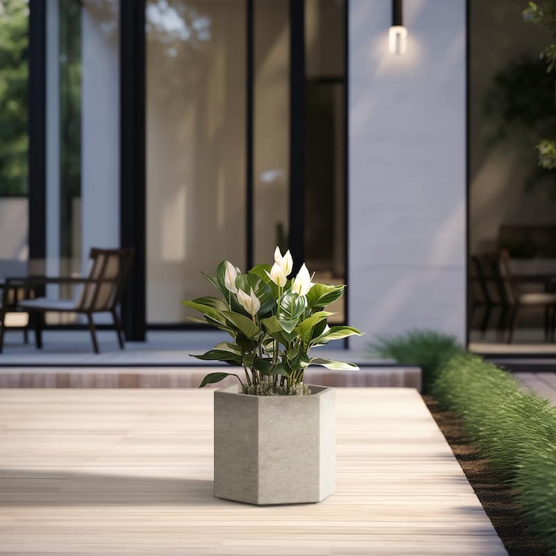 Concrete Geometric Plant Pots / Large Indoor and Outdoor flower Planters