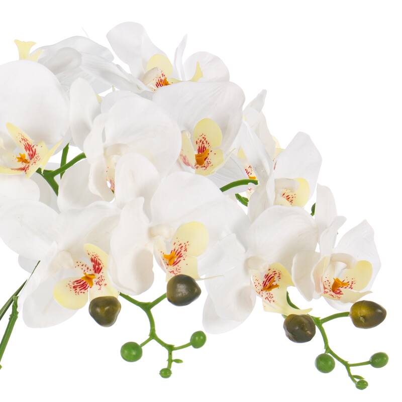 8 Pieces Nearly Natural Plastic Phalaenopsis Orchid with Green Leaf in Gold-Plated Ceramic Basin - 23.62" H x28.35" W x 28.35" D
