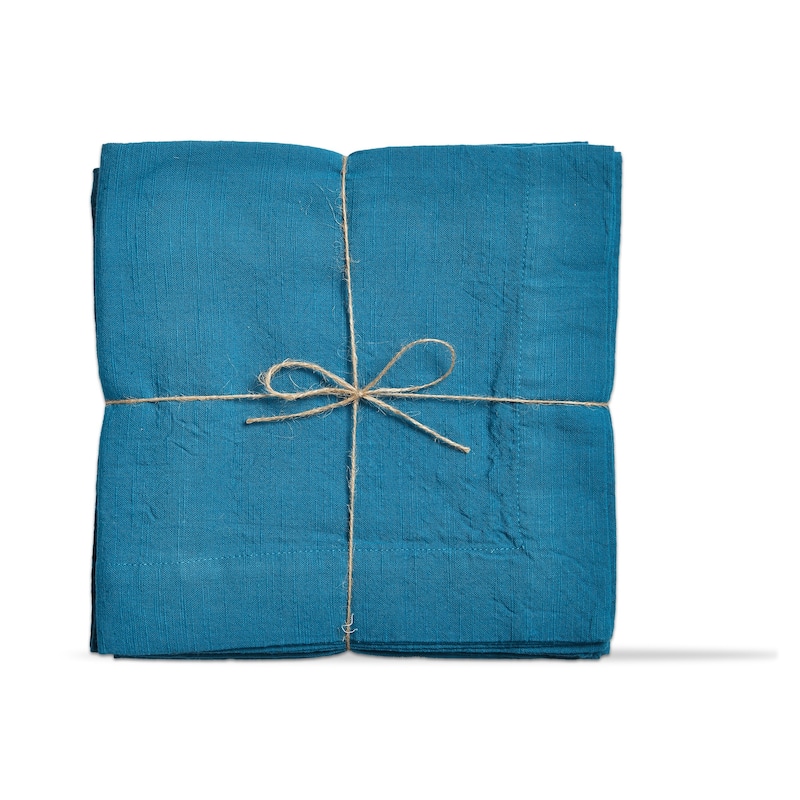 Threads Slub Cotton Machine Washable Napkin Set of 4 Teal - Blue - 20 x 20