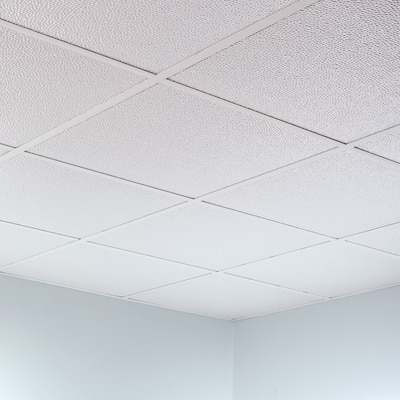 FASÄDE Border Fill Decorative Vinyl 2ft x 2ft Lay in Ceiling Panel in Matte White (5 Pack)
