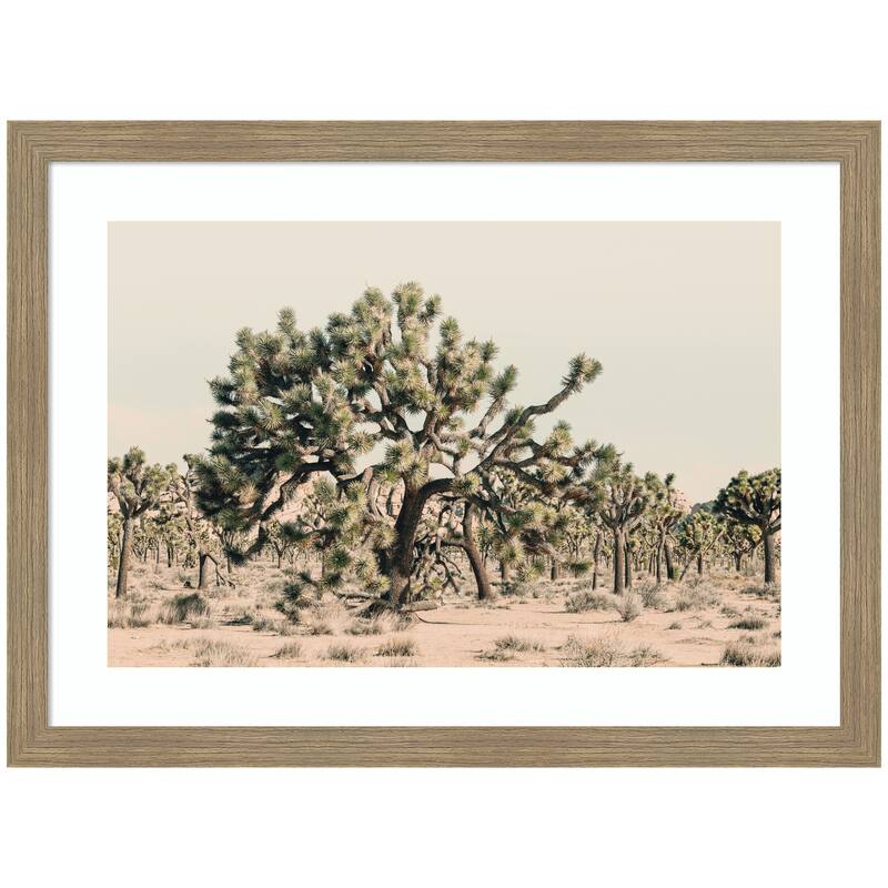 Kate and Laurel Joshua Tree No. 1 by Alicia Bock Framed Wall Art Print - 26 x 19 - Bronze