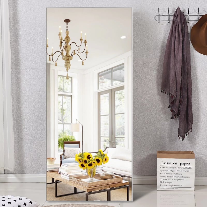 Modern Aluminum Alloy Thin Framed Full Length Floor Mirror - 59x35 - Silver