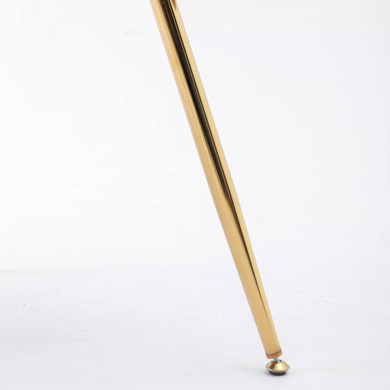 Pink Modern 28.7" Velvet Upholstered Accent Chairs with Gold - Plated Metal Legs (Set of 2)