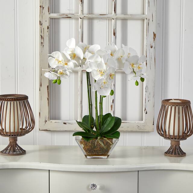 Nearly Natural Triple Phalaenopsis Orchid in Glass Vase
