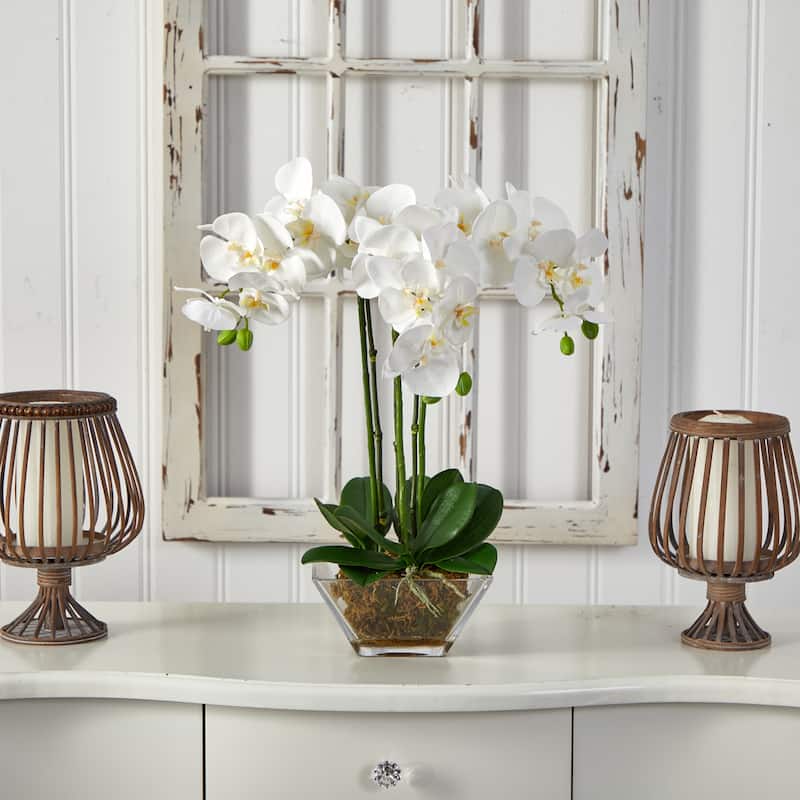 Nearly Natural Triple Phalaenopsis Orchid in Glass Vase - Green