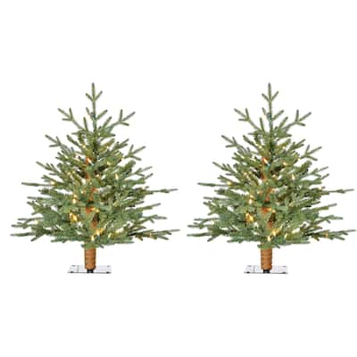 Fraser Hill Farm 2-Ft. Green Alpine Porch Accent Tree with Warm White LED Lights, Set of 2