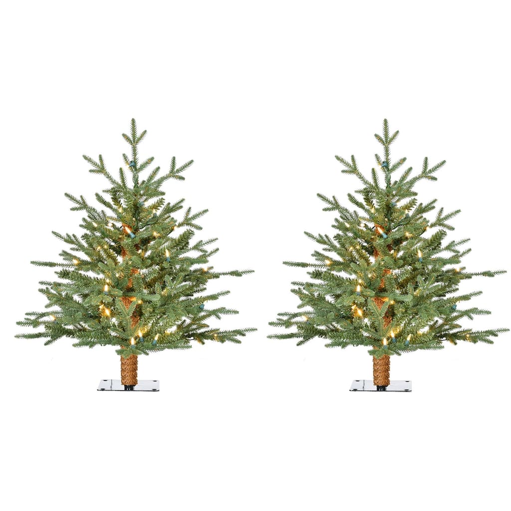 Fraser Hill Farm 2-Ft. Green Alpine Porch Accent Tree with Warm White LED Lights, Set of 2