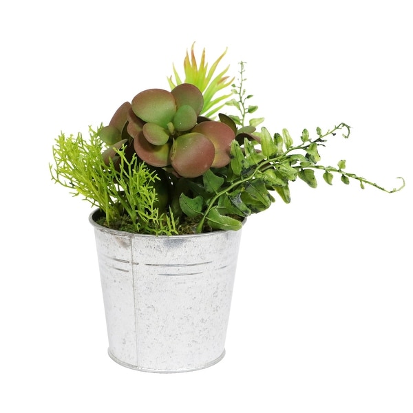 8” Artificial Succulents in Metal Pot Plant - N/A