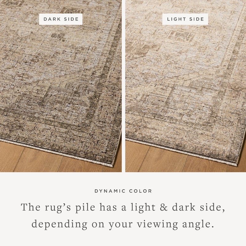 Alexander Home Paloma Traditional Area Rug
