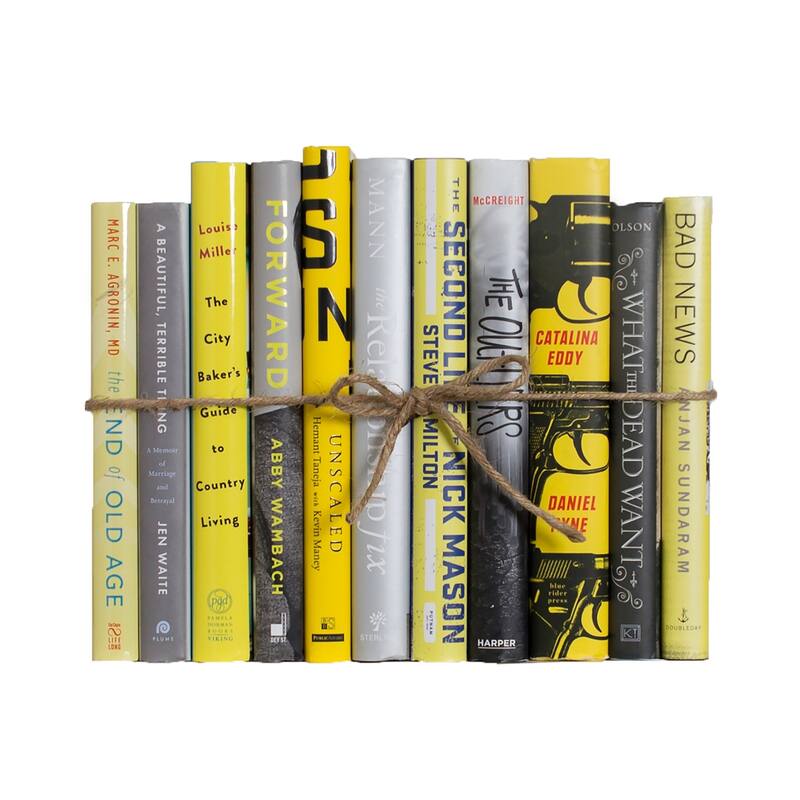 Books Yellow Decorative Accessories: City Days Dust Jacket ColorPak