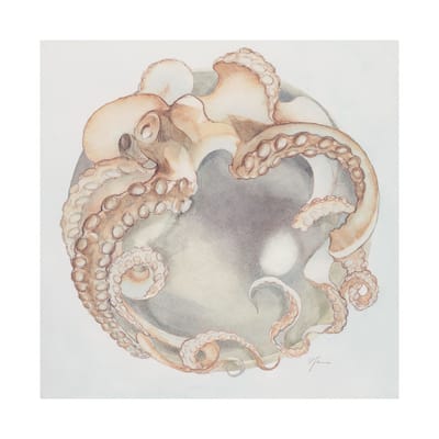 Who Stole My Precious I (38 x 38) Canvas Art Print