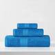 Option Aster Blue