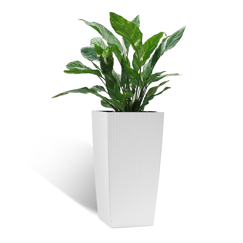 Self-Watering Rattan Enhanced Outdoor Planter with Dual-Basin Design - White