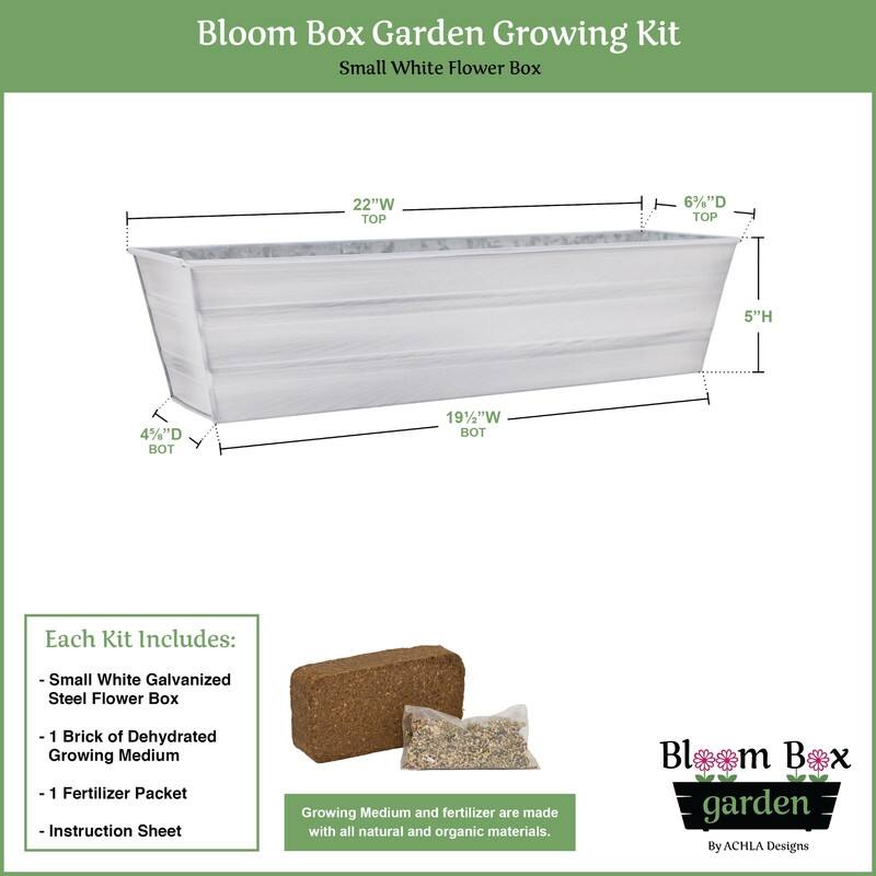 Achla Designs 22" W Galvanized Steel Bloom Box Garden Growing Kit