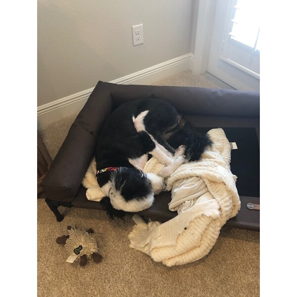 Shop K H Pet Products Original Bolster Dog Cot And Bed Overstock
