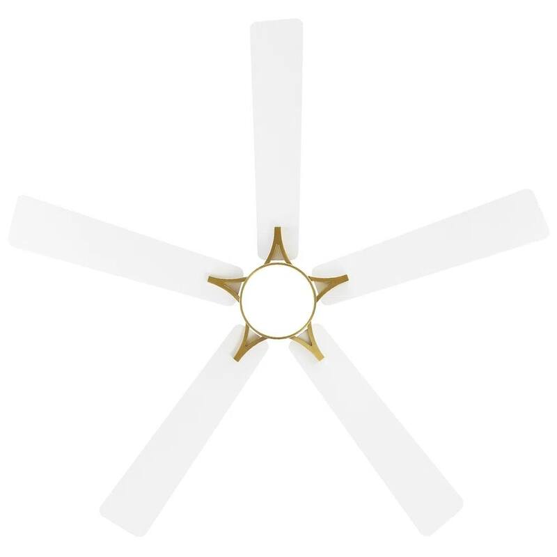 MLiAN 5-Blades DC Motor Indoor Smart Ceiling Fan with Light and Remote