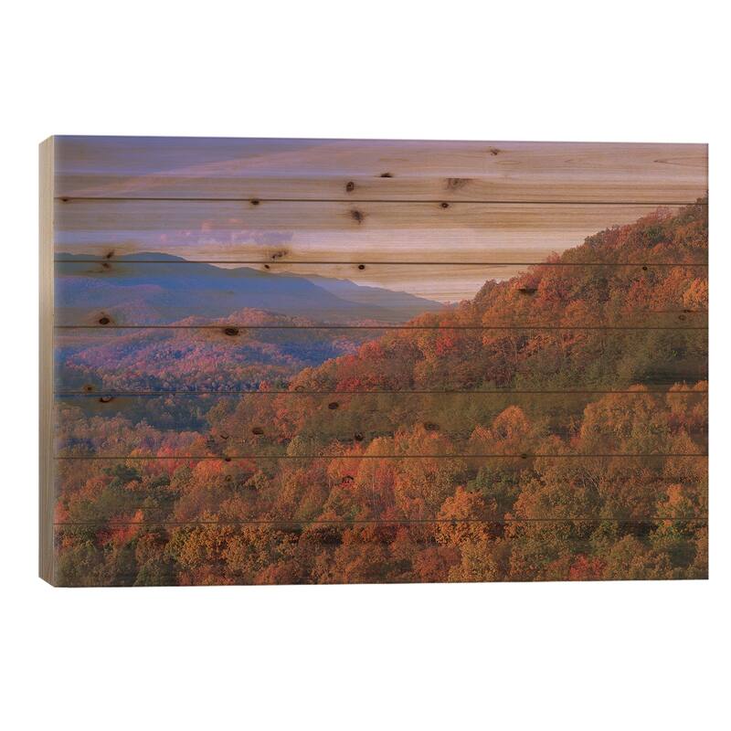 Fall Colored Forest, Appalachian Mountains, Great Smoky Mountains National Park, North Carolina Print On Wood by Tim Fitzharris - 26x40x1.5