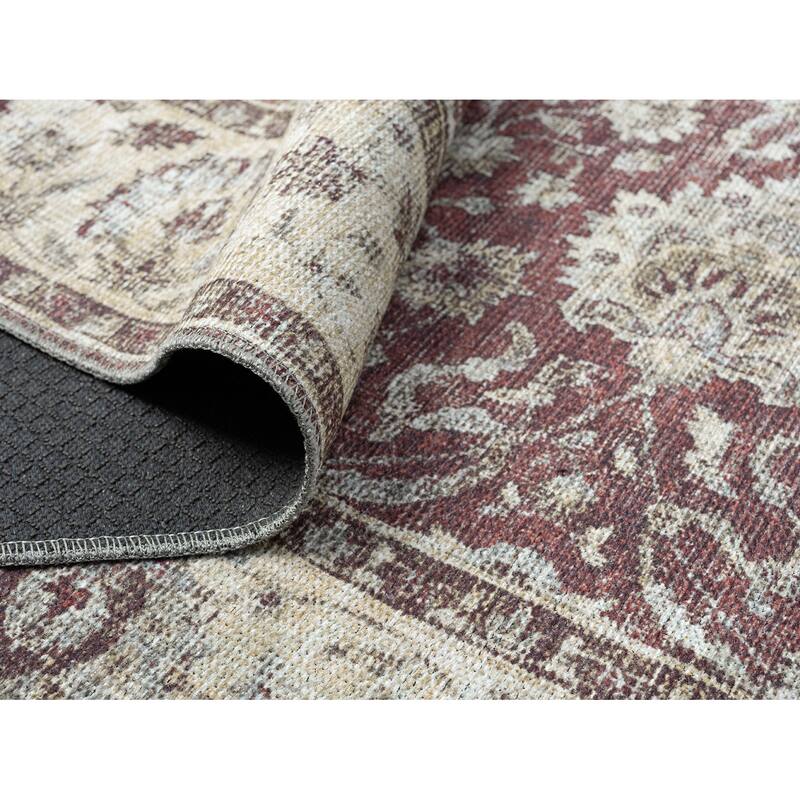 Legacy Cairo Traditional Bordered Washable Area Rug