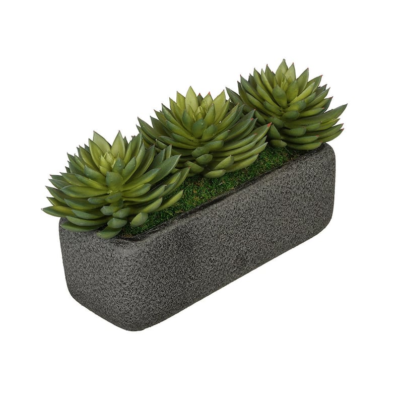 Faux Pointed Echeveria Garden in Black Sandy-Texture Ceramic Vase - Green