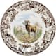 Option Bighorn Sheep