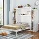 Option White