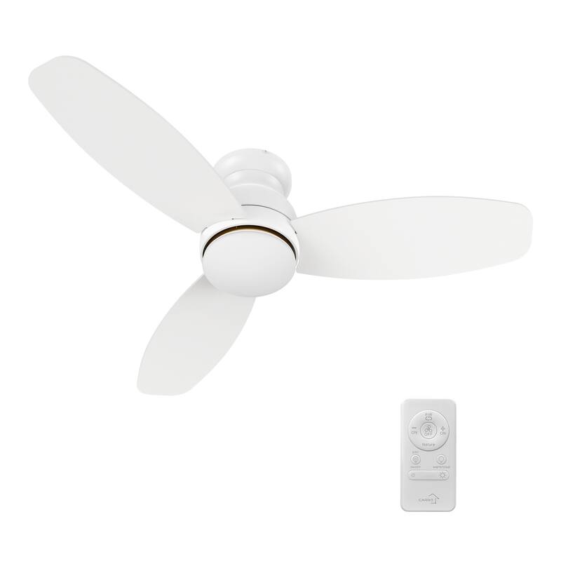 CARRO Reed 48" Indoor Ceiling Fan with Light and Remote - N/A
