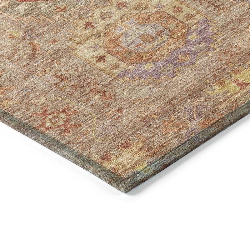 Machine Washable Indoor/ Outdoor Vintage Traditional Chantille Rug