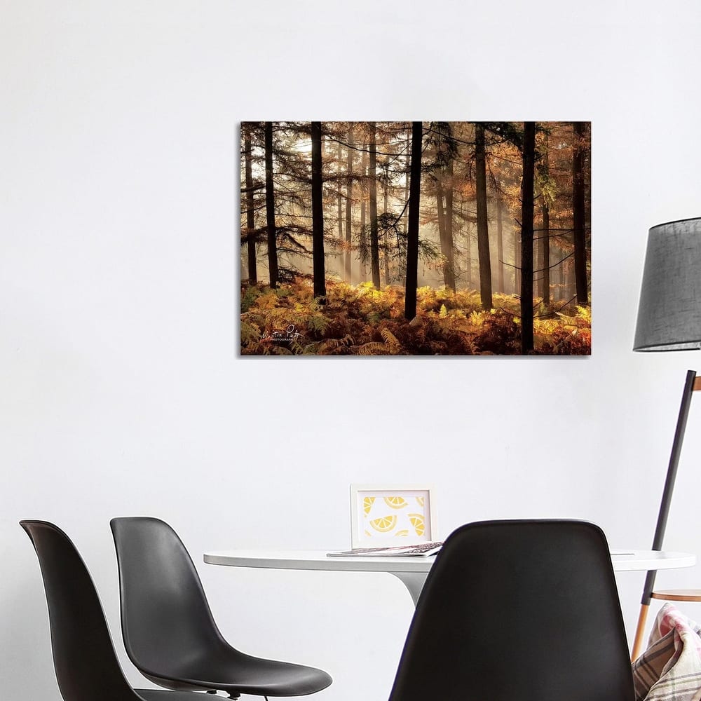 iCanvas "Fern Forest" by Martin Podt Canvas Print